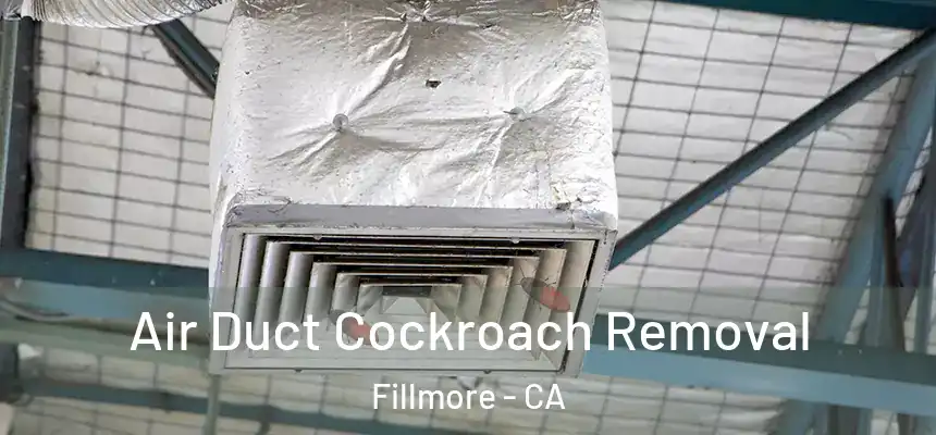  Air Duct Cockroach Removal Fillmore - CA