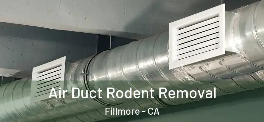 Air Duct Rodent Removal Fillmore - CA
