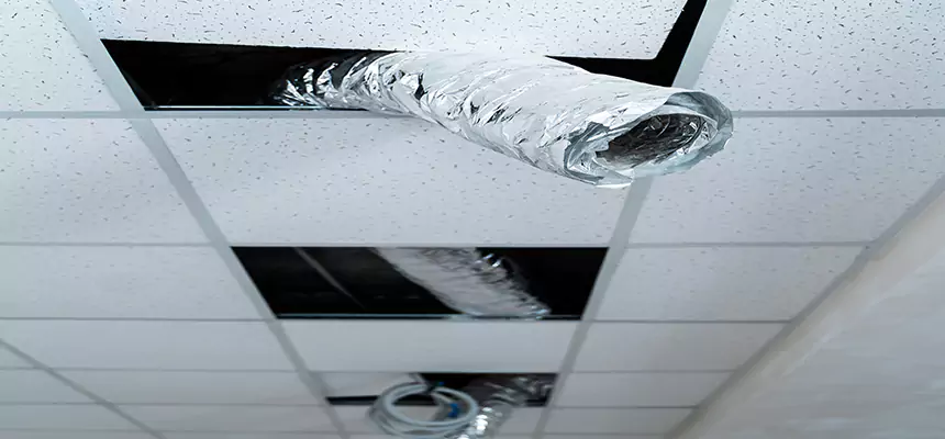 Our Air Duct Pet Hair Removal Services in Fillmore, CA