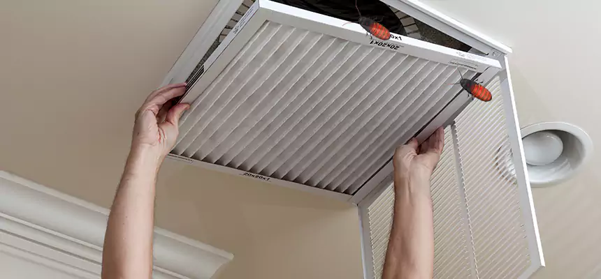 Our Insect Removal from Air Ducts Services in Fillmore, CA
