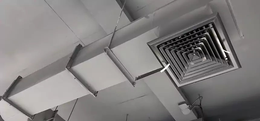 Our Pest Removal From Ducts Services in Fillmore, CA