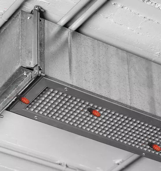 About Air Duct Cockroach Removal in Fillmore, CA