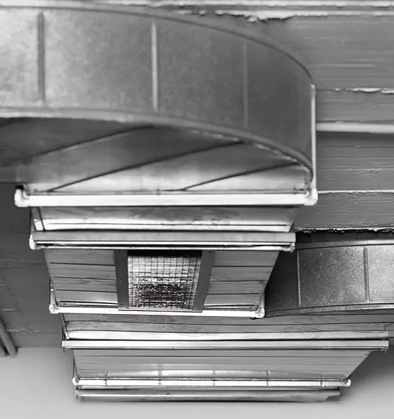 Professional Air Duct Pest Removal in Fillmore, CA