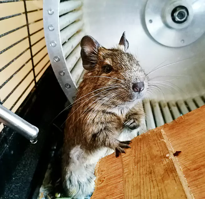 Why Homeowners & Businesses Trust Us Fillmore, CA?