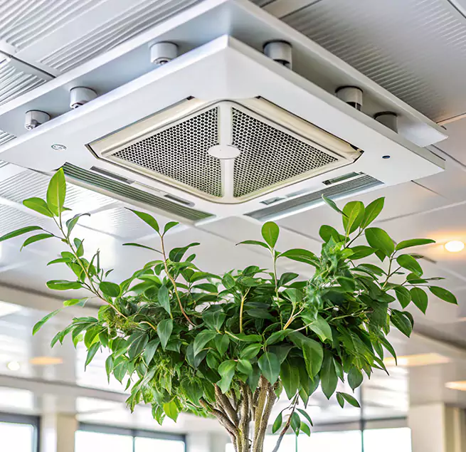 Why Homeowners & Businesses Trust Us in Fillmore, CA