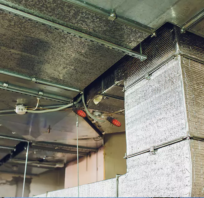 Why Homeowners & Businesses Trust Us Fillmore, CA?